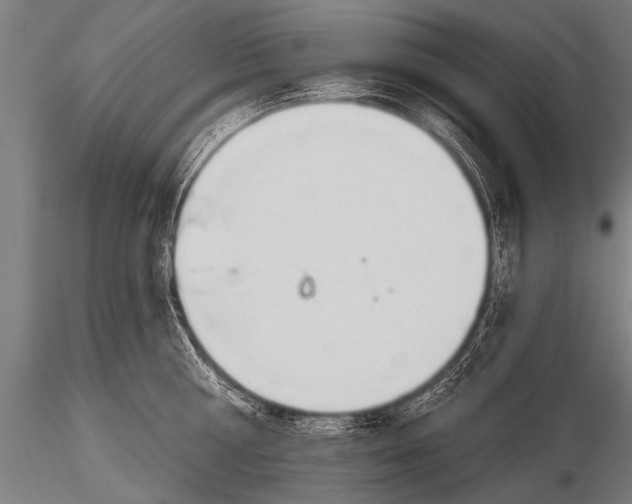 X0000116110810200912141019