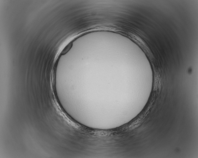 X0000116110812200912141019