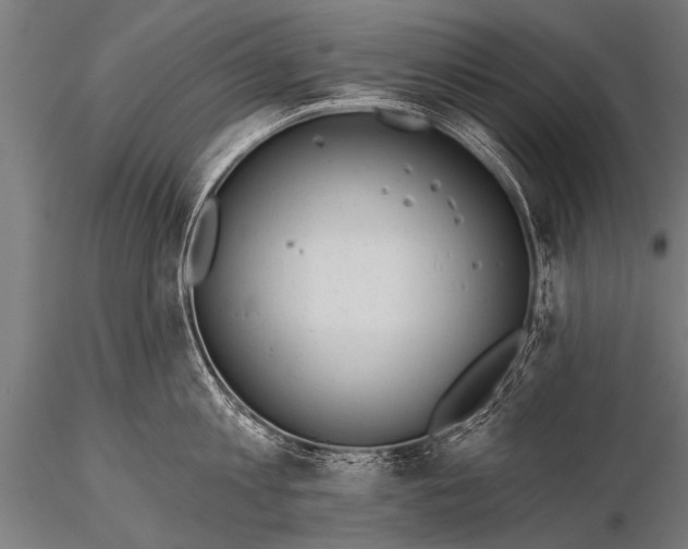 X0000116110813200912141019