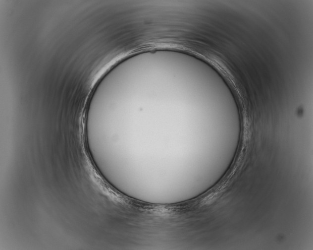 X0000116110814200912141019