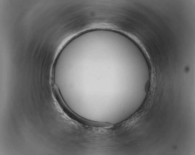 X0000116110815200912141019