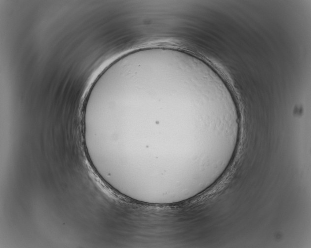 X0000116110816200912141019