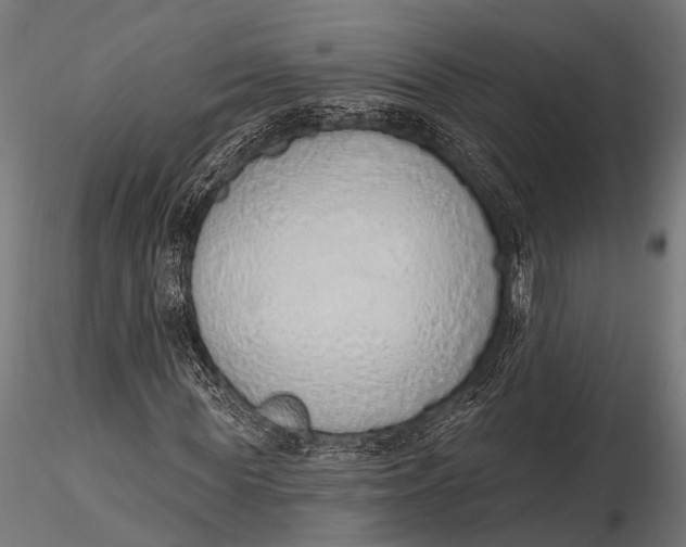 X0000116110819200912141018