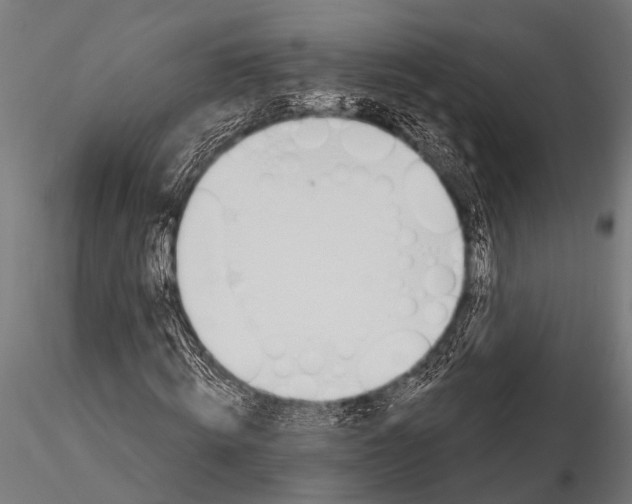 X0000116110820200912141018