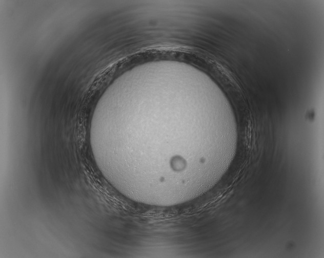 X0000116110821200912141018