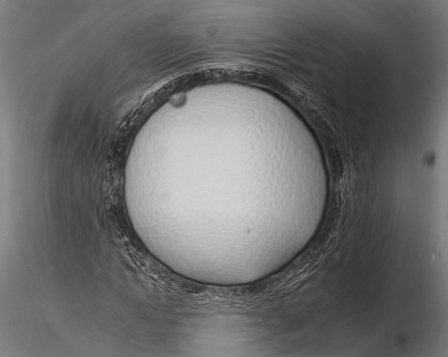 X0000116110822200912141018