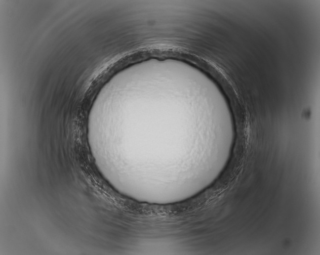 X0000116110823200912141018