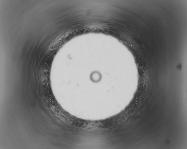 X0000116110824200912141018