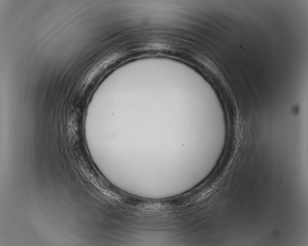 X0000116110826200912141018