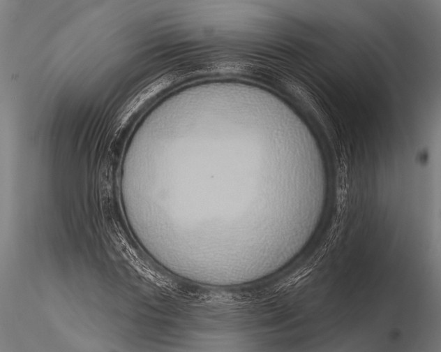 X0000116110827200912141018