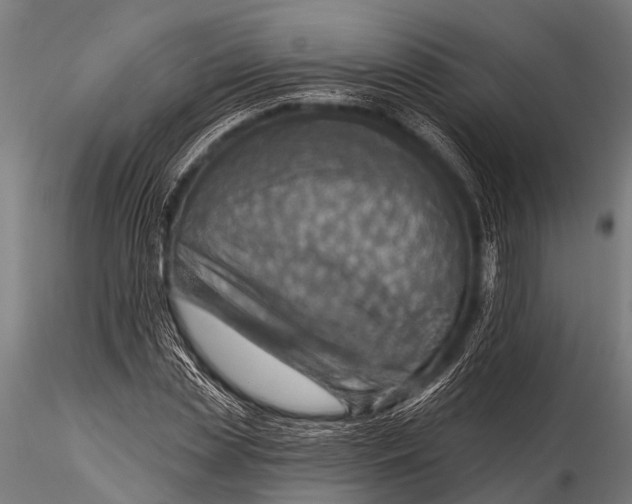 X0000116110829200912141018