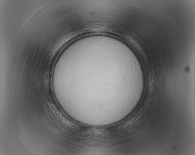 X0000116110831200912141018