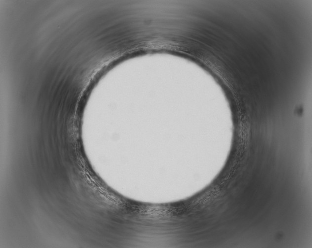 X0000116110832200912141018