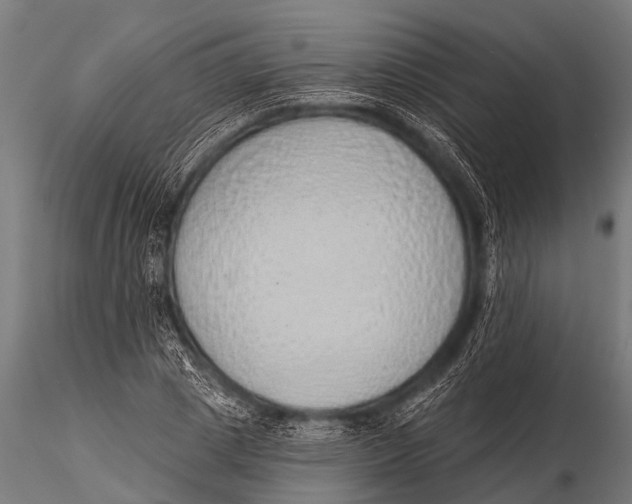 X0000116110833200912141018