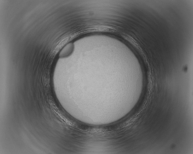 X0000116110834200912141018