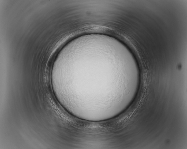 X0000116110835200912141018