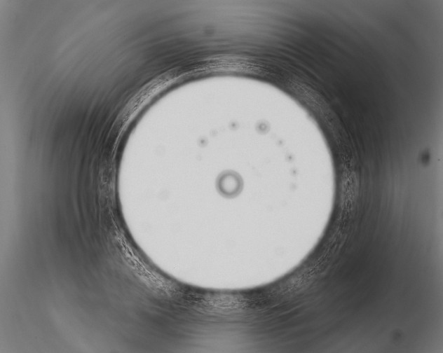 X0000116110836200912141018