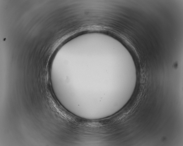 X0000116110837200912141018