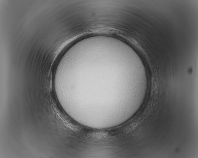 X0000116110838200912141018