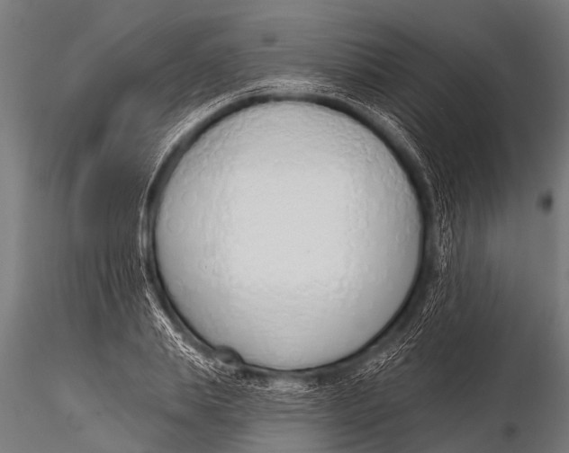 X0000116110839200912141018