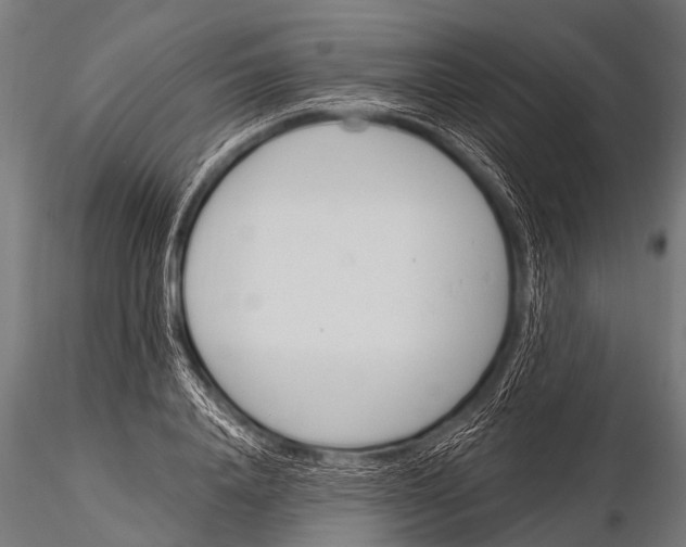 X0000116110840200912141018