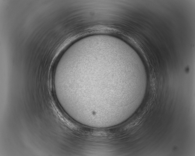 X0000116110843200912141018