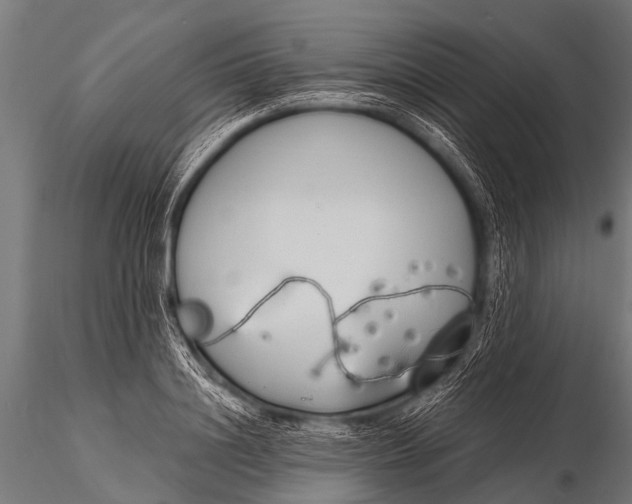 X0000116110844200912141018