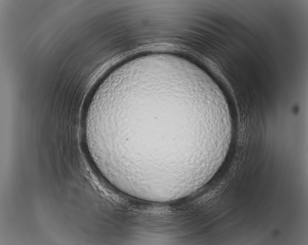 X0000116110845200912141018