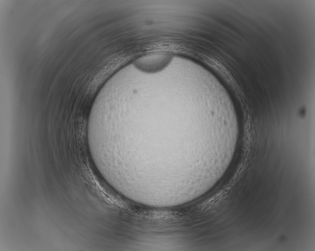 X0000116110849200912141019