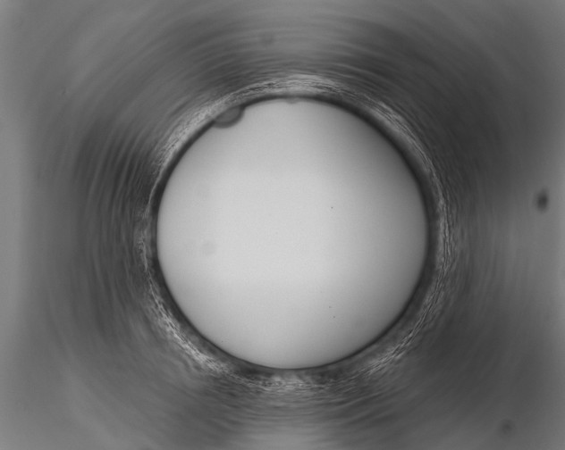 X0000116110850200912141019