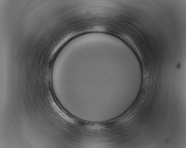 X0000116110851200912141019