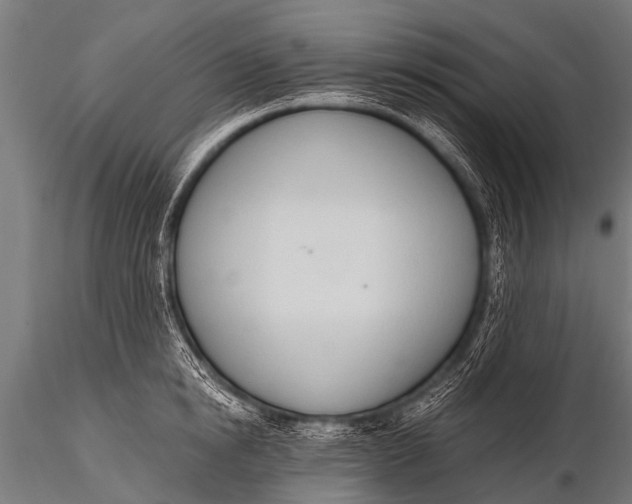 X0000116110854200912141019