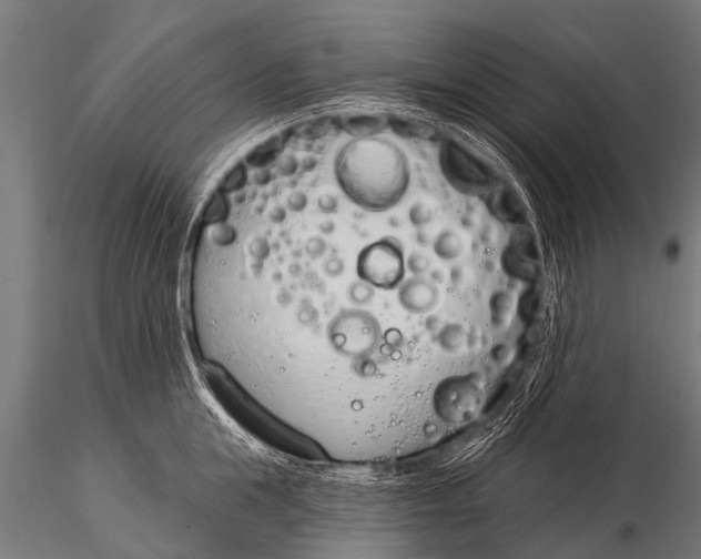 X0000116110855200912141019