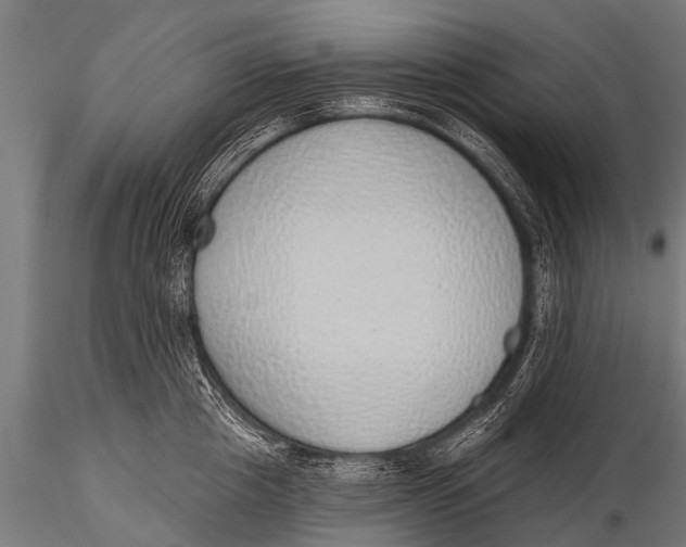 X0000116110857200912141019