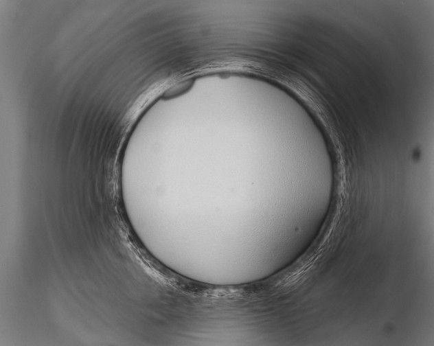 X0000116110858200912141019