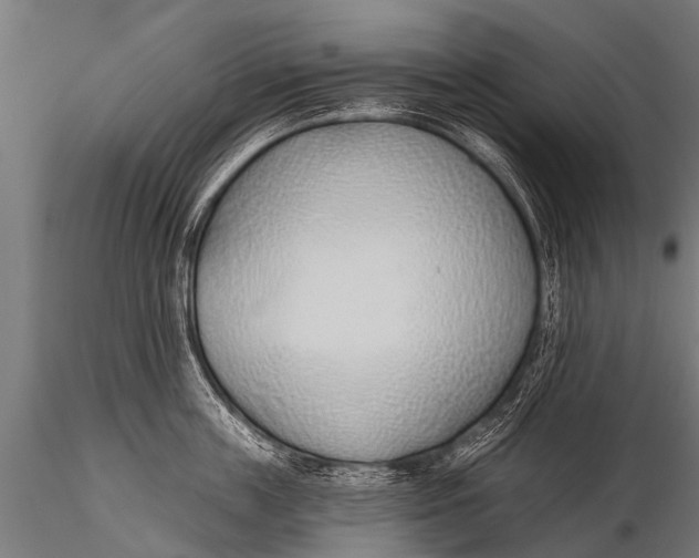 X0000116110859200912141019