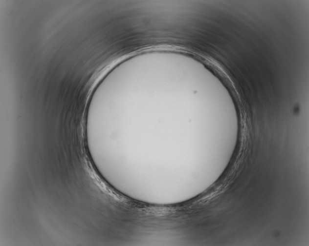 X0000116110860200912141019