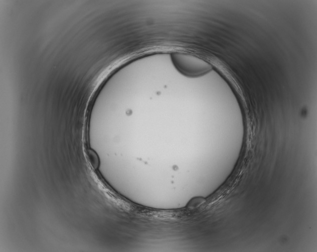 X0000116110861200912141019