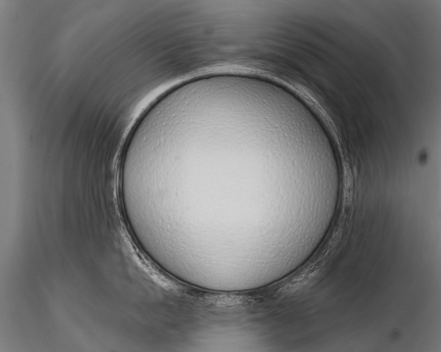 X0000116110862200912141019