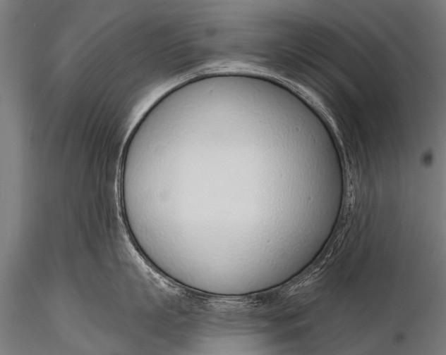 X0000116110863200912141019