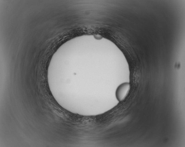 X0000116110865200912141018