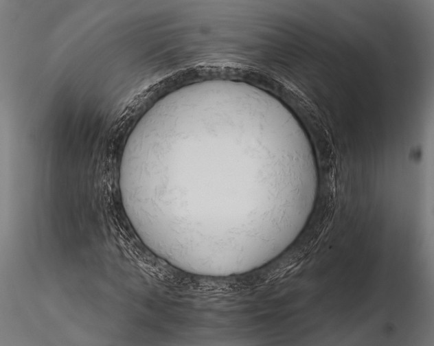 X0000116110870200912141018