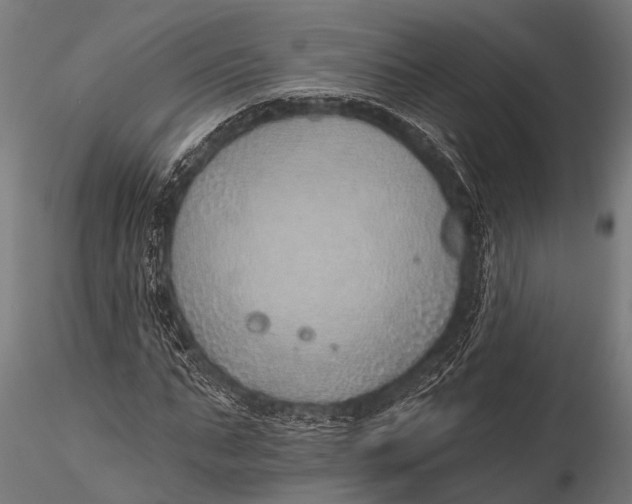 X0000116110871200912141018