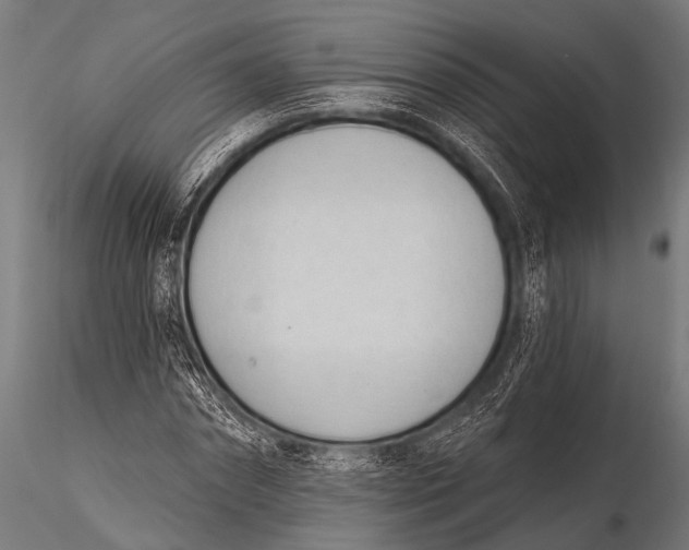 X0000116110874200912141018