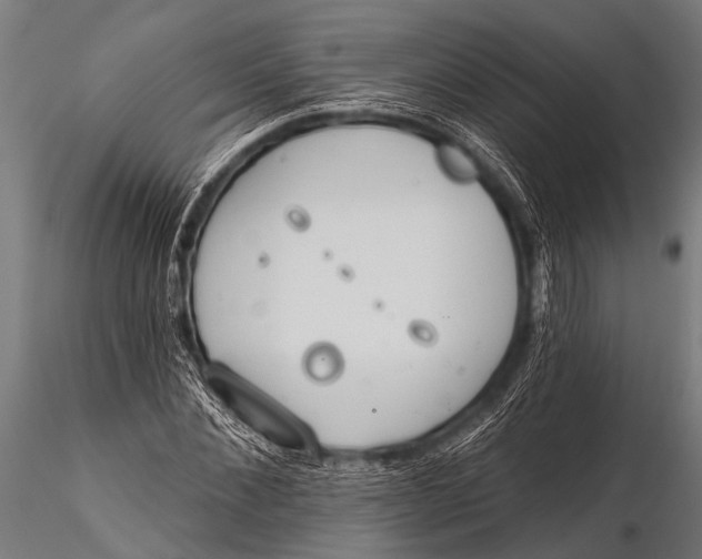 X0000116110876200912141018