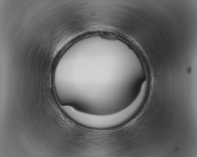 X0000116110877200912141018