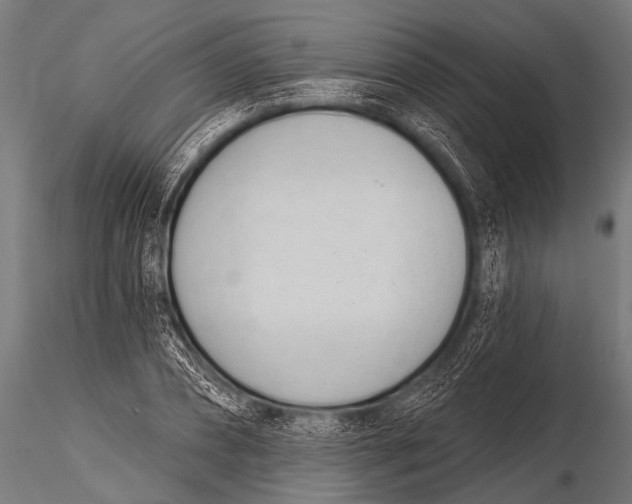 X0000116110882200912141018