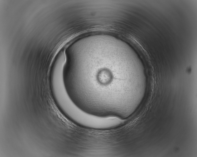 X0000116110884200912141018