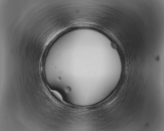 X0000116110885200912141018