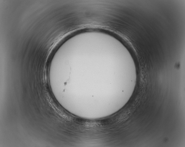 X0000116110887200912141018